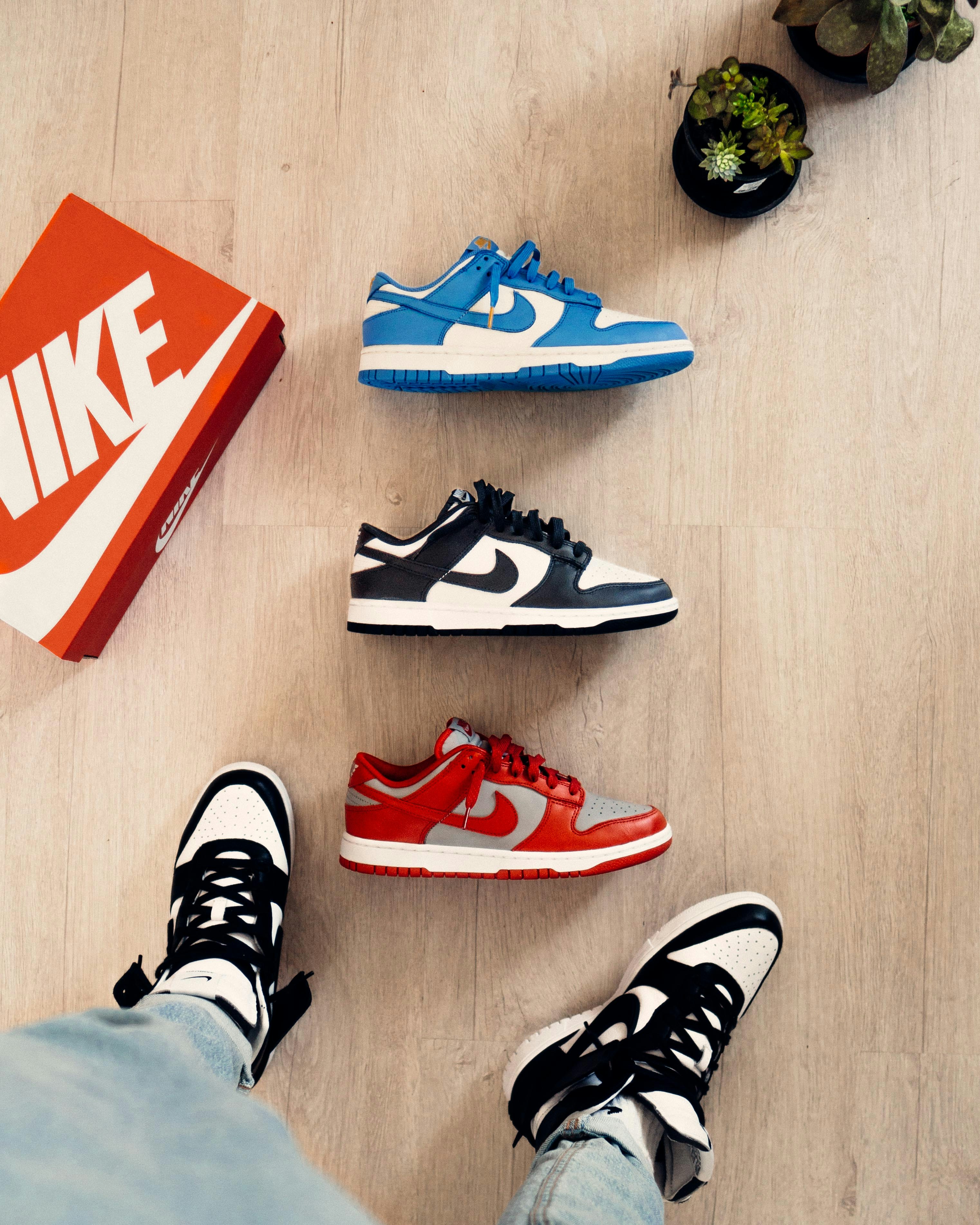 Nike Dunk
